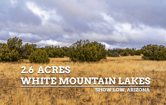 Great Homesteader Acreage in Show Low