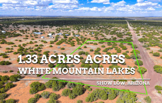 Private Forested Acreage – Where Solitude Meets Outdoor Paradise