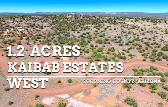 Cool Pines, Clear Skies — Escape to the Kaibab High Country