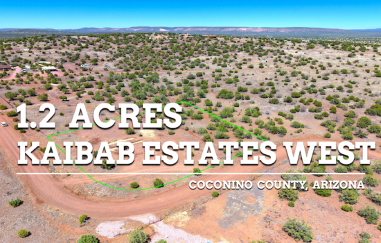 Cool Pines, Clear Skies — Escape to the Kaibab High Country
